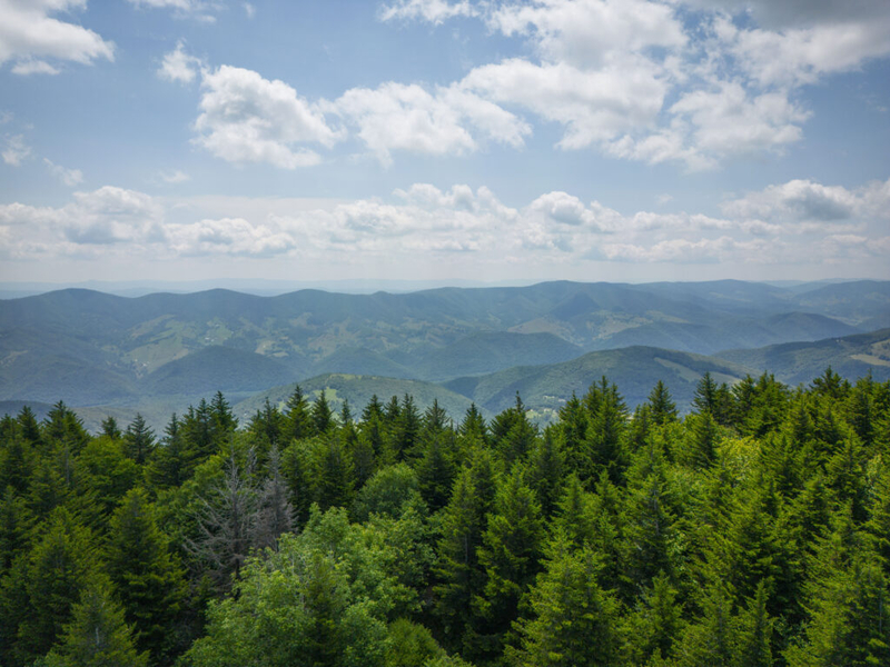 USDA secretary appoints Idahoan Tom Schultz to serve as U.S. Forest Service chief