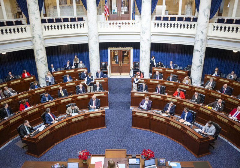 Idaho House passes state’s Medicaid budget, sending bill to governor