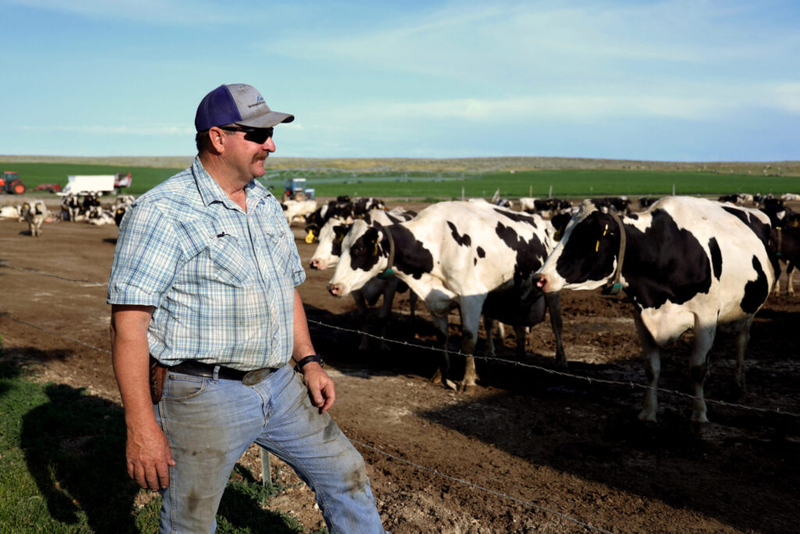 Farmers advocate for reform, workers fight for survival amid Trump immigration crackdown