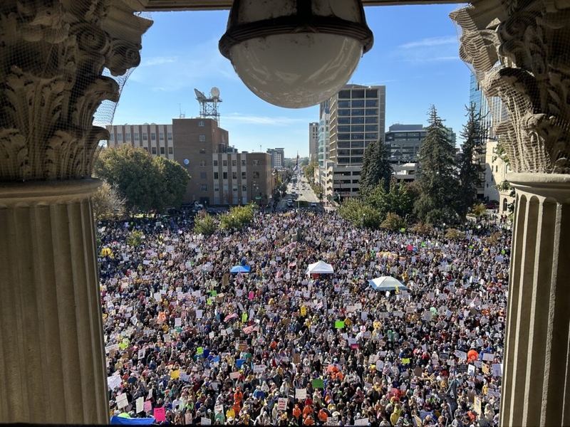 Thousands of Idahoans turn out for Boise’s anti-Trump No Kings protest at Idaho Capitol