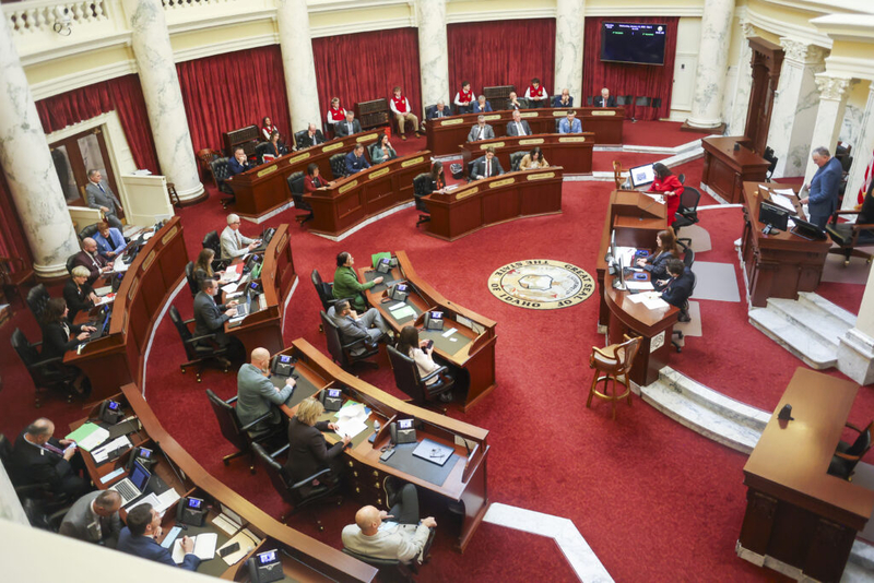 Idaho Senate committee rejects bill creating task force to oversee federal rural health care money