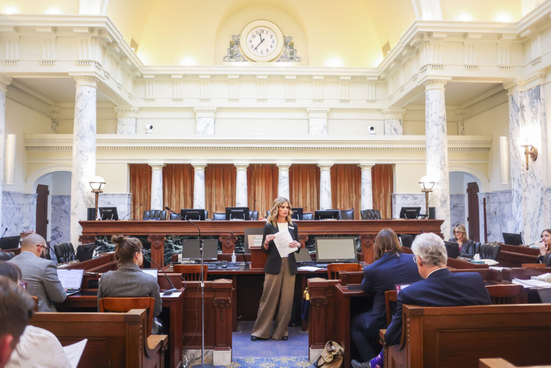 Idaho Gov. Little’s budget director asks JFAC to restore funding for some services that were cut