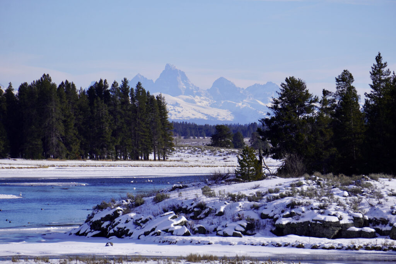 Idaho Gov. Brad Little signs new appointment process law, says Harriman State Park not in jeopardy 