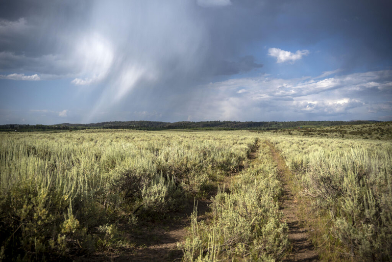 State sells 160 acres of Idaho endowment land near the Tetons to billionaire’s LLC for $5M