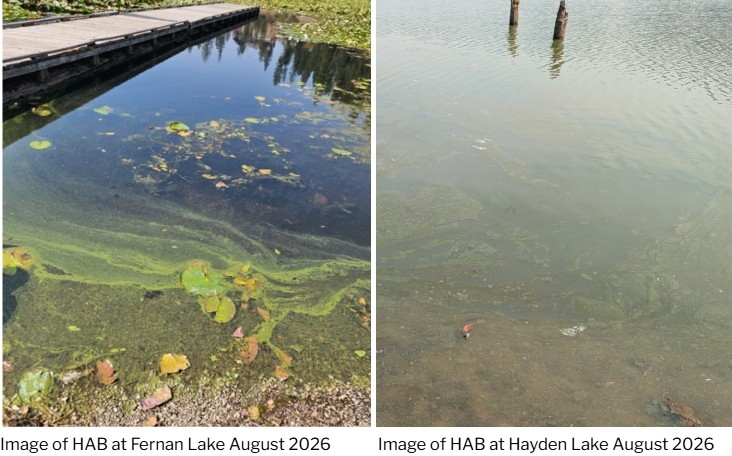 Health officials warn of harmful bacteria in North Idaho’s Fernan Lake, north end of Hayden Lake