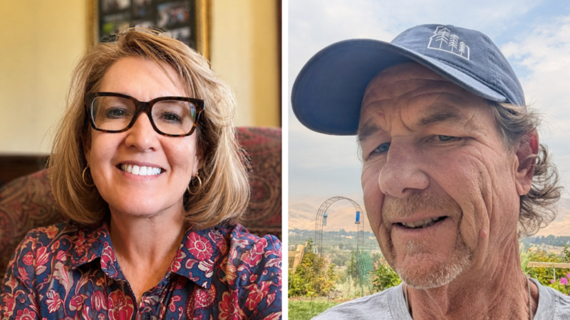 Idaho treasurer candidates have differing state investment mindsets