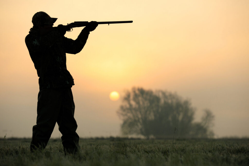 Montana Fish, Wildlife and Parks analyzing nonresident hunting impacts, seeks hunter input