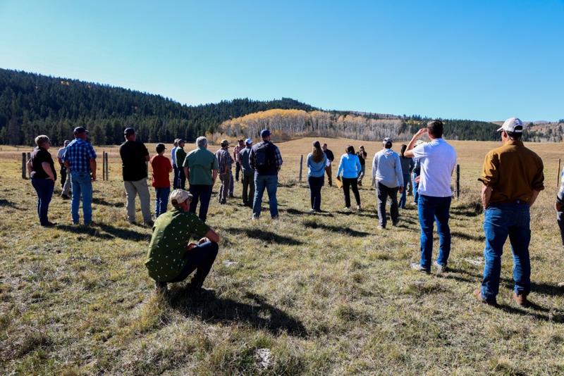 Stream, riparian restoration could protect Idaho’s Kackley Ranch Preserve for generations to come