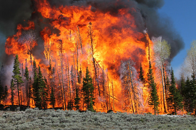 Forefire Biden to meet with Western governors about wildfires, vows to raise ...