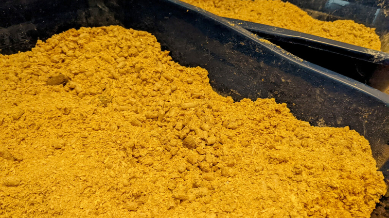 Carroll superintendent: No litter boxes in schools