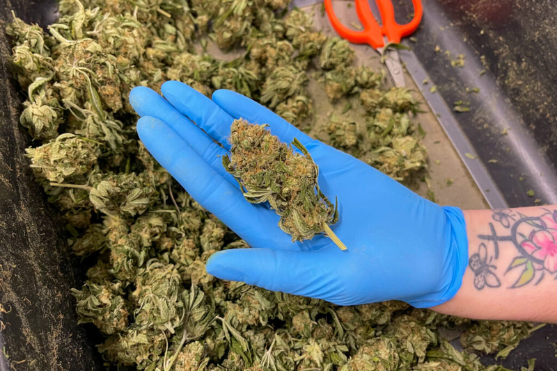 Marijuana legalization won’t fix Iowa’s budget