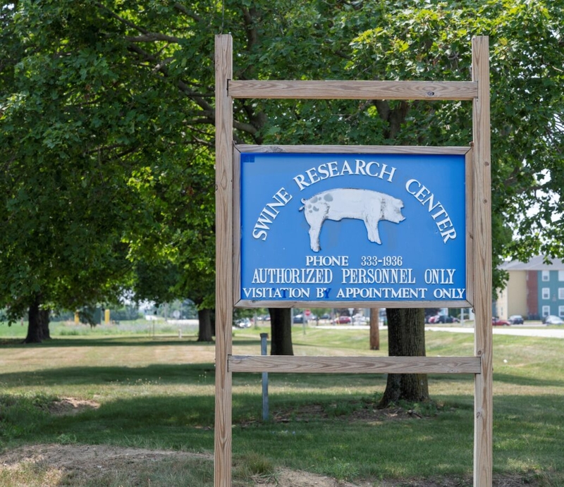 The National Pork Board gives more grant money than any other checkoff. Critics say it favors Big Pork.