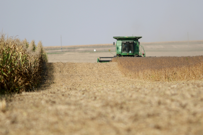 Outsider farm owners are an issue in the governor’s race. Here’s what experts say.