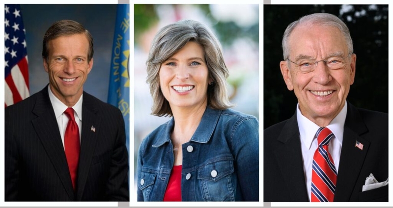 Thune, Grassley, and Ernst hold the power to stop Trump’s most problematic Cabinet nominations