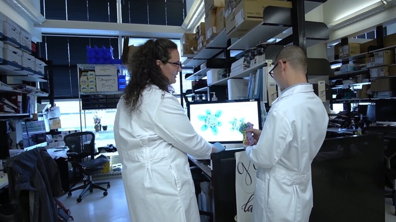 Iowa universities see less research funding from federal government