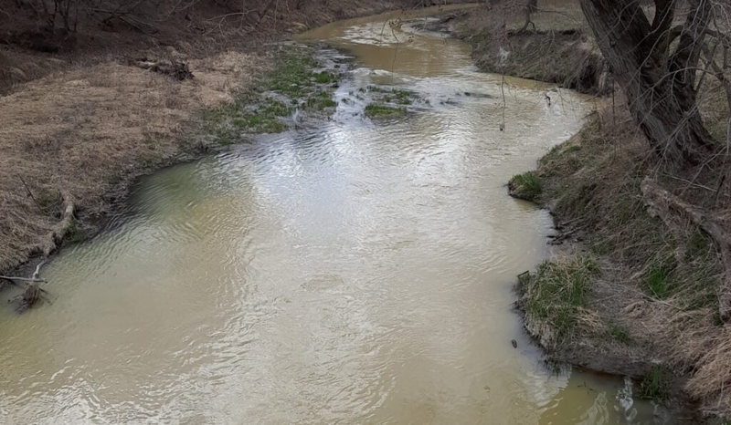Biotech company to pay $90K for fish kill, spill in Lizard Creek 