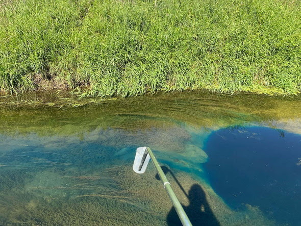 DNR investigating copper spill near Garner; dead fish observed