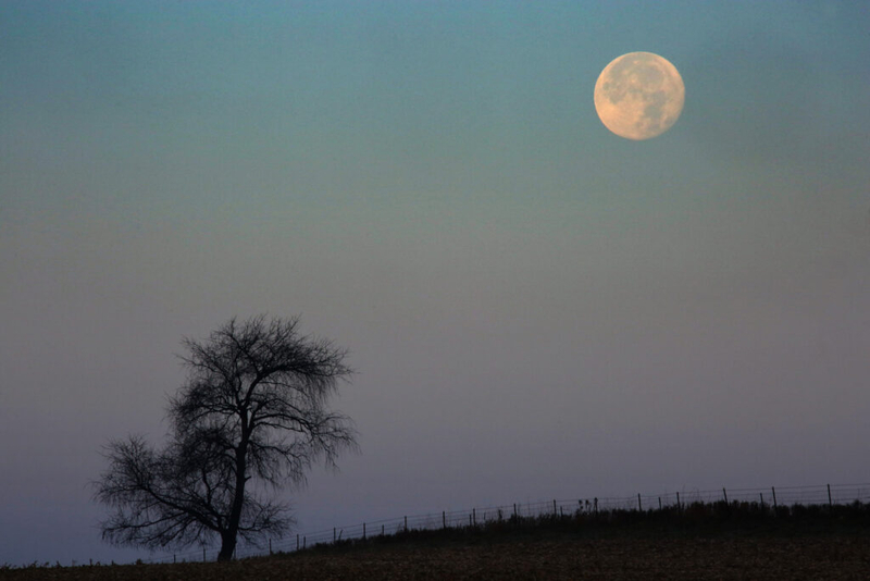 The ‘Star of Bethlehem,’ under a supermoon