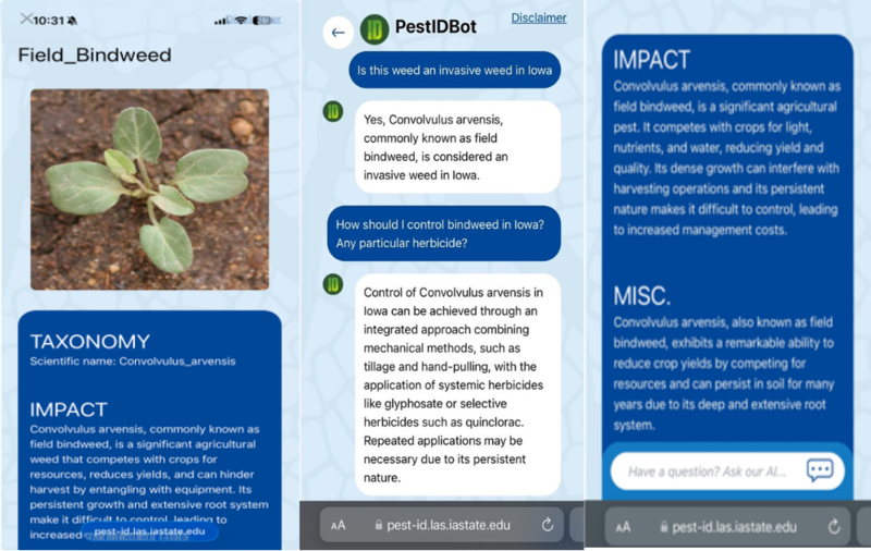 Iowa State University researchers, global partners create pest identification model