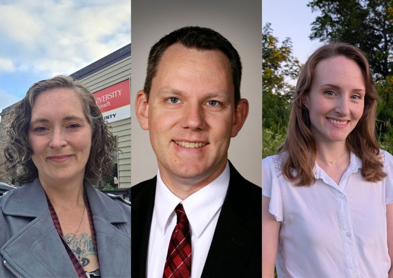 Three Democrats compete in Iowa 4th Congressional District primary