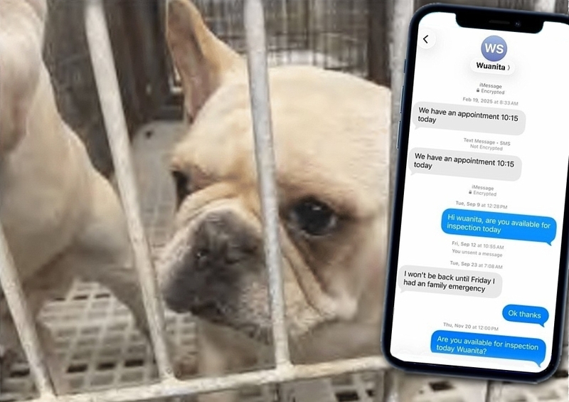 Puppy mill operator was consulted on the timing of inspections at her kennel