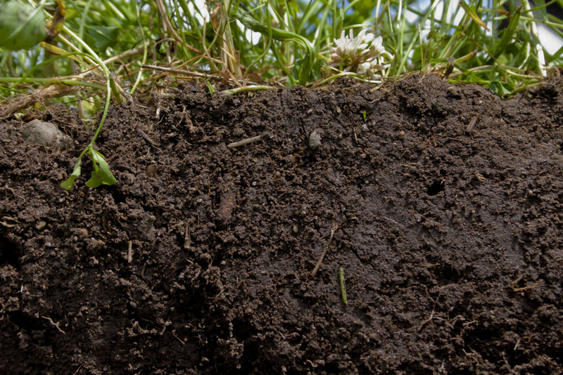 Nitrogen soil sampling project expands to Des Moines, Cedar Rapids watersheds