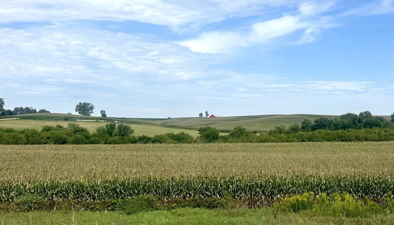 Harvest season nears in Iowa; Farm Rescue taking applications