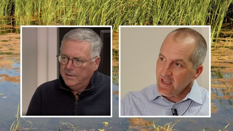 Meet Iowa’s secretary of agriculture candidates