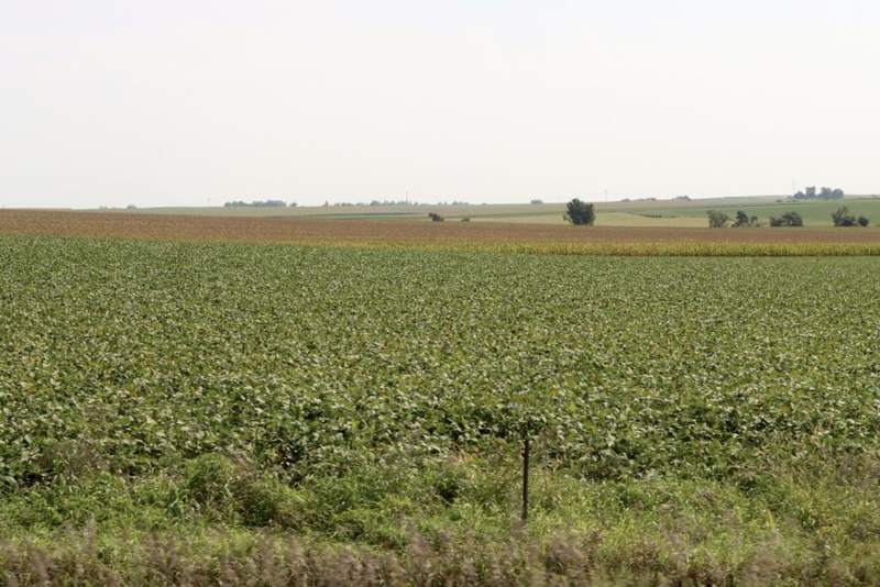 Start of September was ‘one of the warmest’ on record as harvest nears