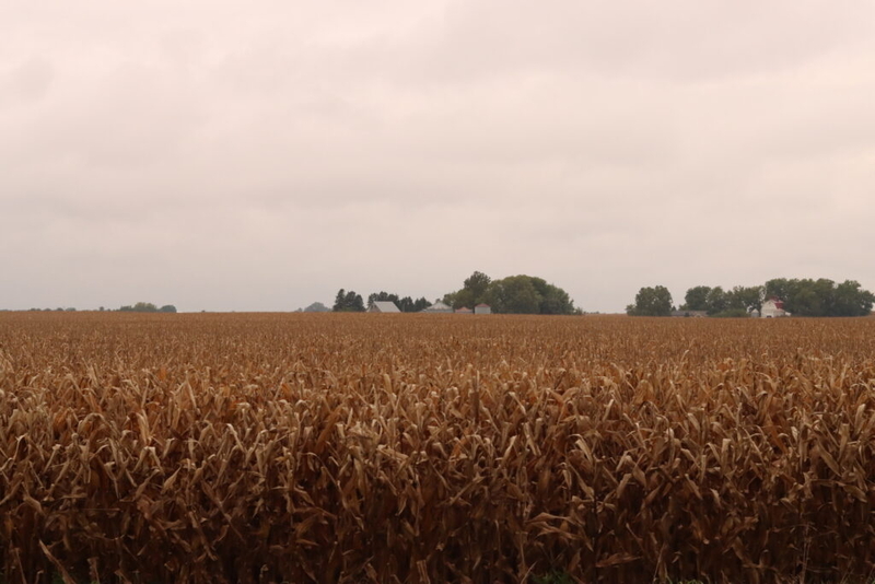 Iowa farmers behind on harvest as wet September comes to close