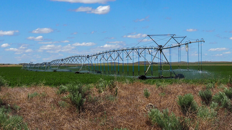 Kansas farmers suffer from tariffs and closing of Strait of Hormuz, ag experts say