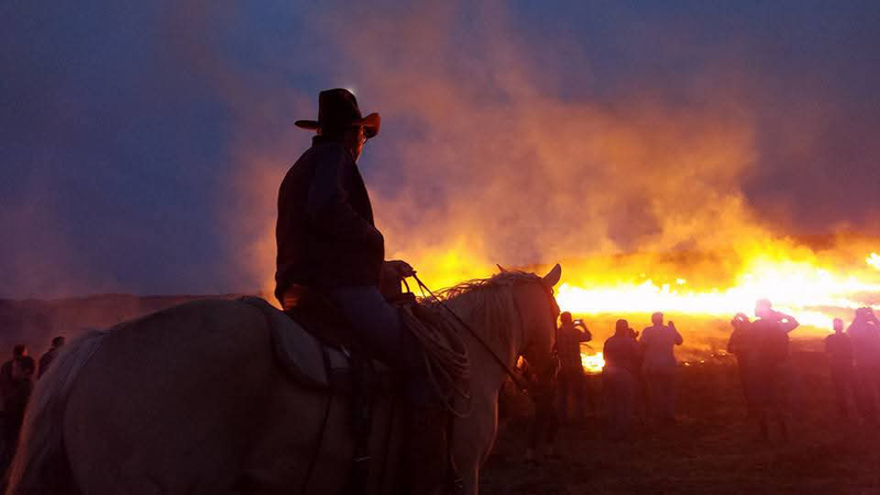 A fire on the Kansas prairie: the life of Jim Hoy, cowboy scholar ...