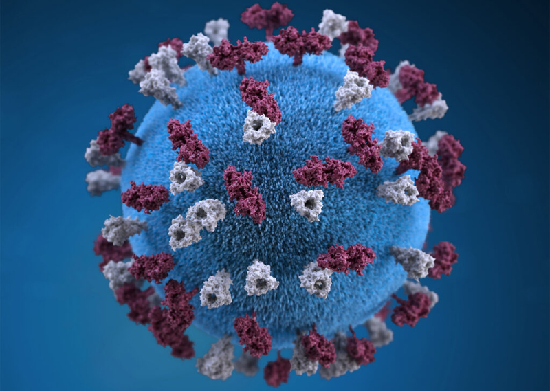 Kansas measles cases grow to five; community transmission not seen