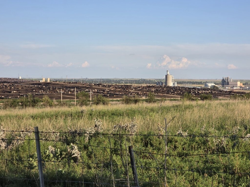 Kansas agriculture and rural communities need immigrants, but system has failed them