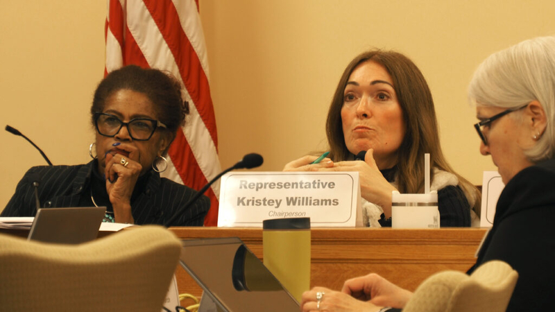 Kansas efficiency committee targets DEI curricula in college classrooms