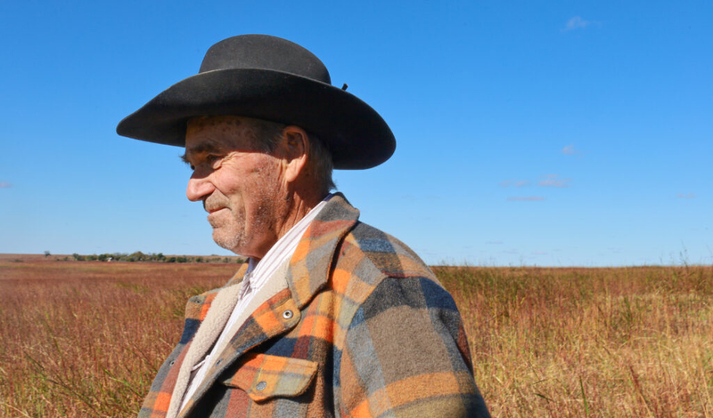 Flint Hills rancher works to restore biodiversity of imperiled Kansas tallgrass prairie ecosystems