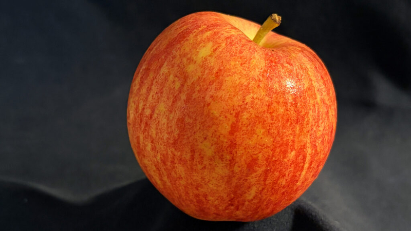 A dream of the ‘Three Graces’ taught me about the power of art — and the golden apples of democracy