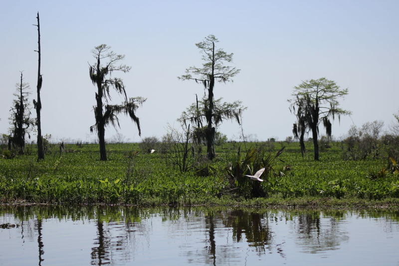 Neighbors call for greater scrutiny of Lake Maurepas carbon capture project