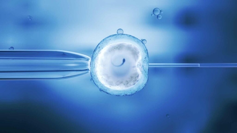 Louisiana lawmakers move IVF protection bill forward, but doctors still might be vulnerable