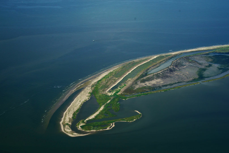 ‘Dead zone’ in the Gulf of Mexico predicted to be bigger than average this summer