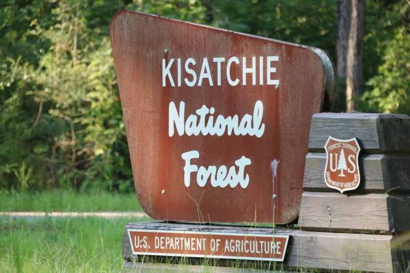Sen. Bill Cassidy faces backlash with bill to break up Louisiana’s only national forest