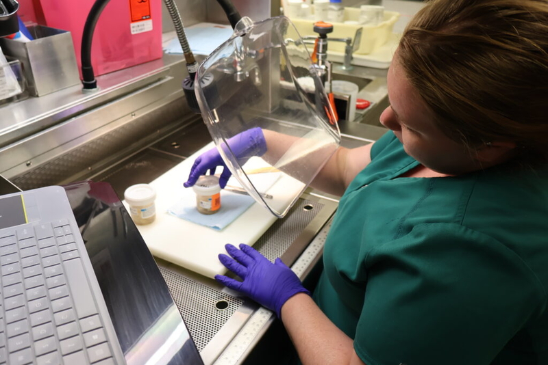 Inside the fight against ‘zombie deer disease,’ scientists confront changing politics