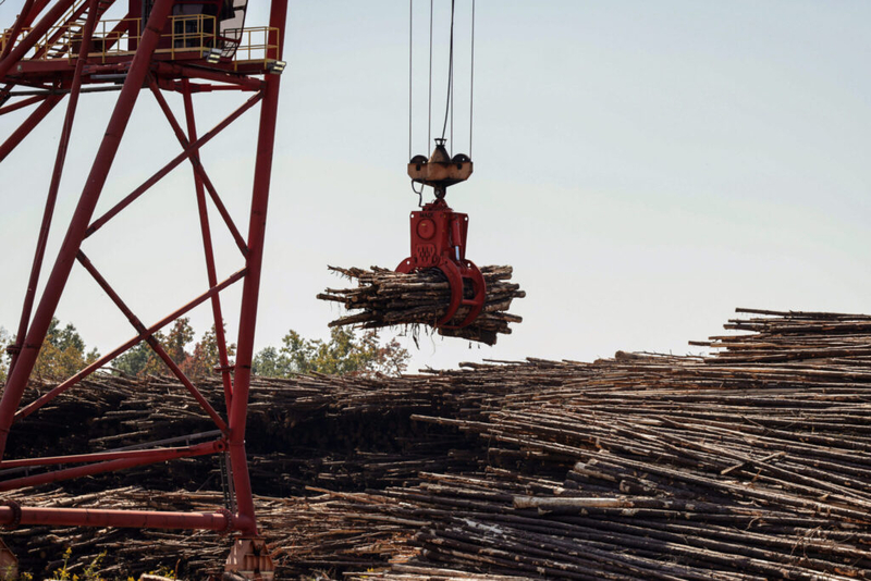 Louisiana lawmakers approve incentives for controversial wood pellet industry