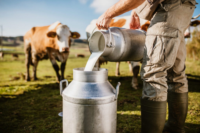 Raw milk sickens 11 people in Louisiana; health officials investigate