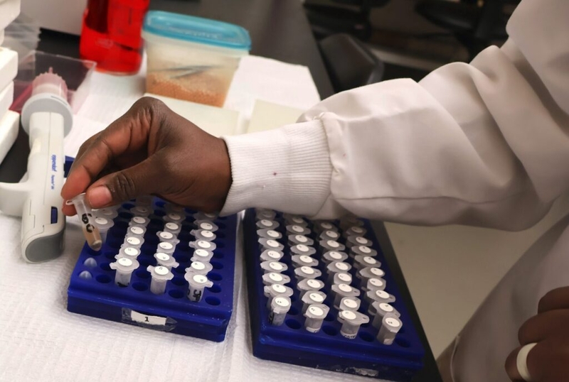 Inside the lab at the heart of Louisiana’s mosquito-borne disease prevention network