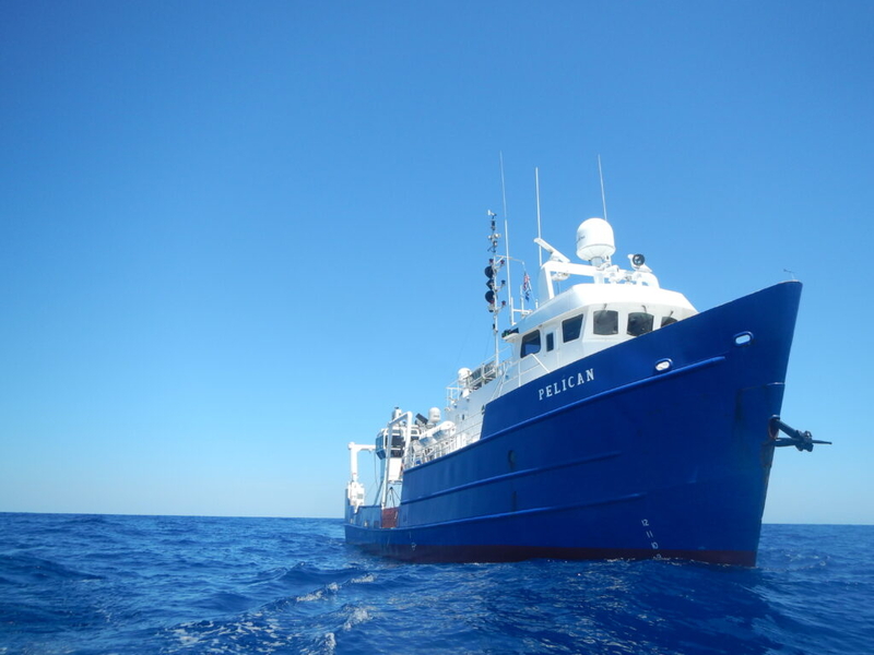 Louisiana’s marine research collaboration becomes a political battleground