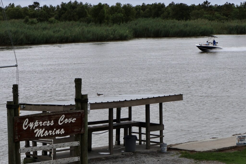 Marsh-building river diversions have local support at the Bird’s Foot Delta, but money still needed