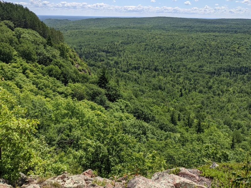 Environmental advocates slam Forestry Service for moving forward on Western U.P. logging project
