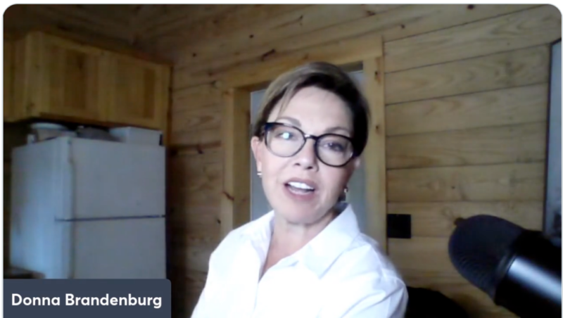 Donna Brandenburg to run as U.S. Taxpayers Party of Michigan gov. candidateÂ 