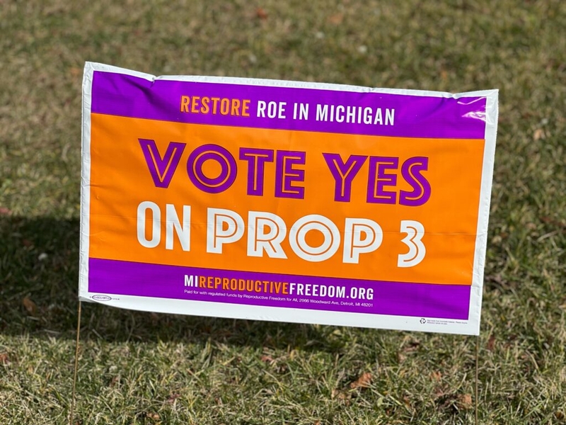 Right to Life of Michigan files court appeal to challenge Proposal 3 claiming ‘dangerous overreach’